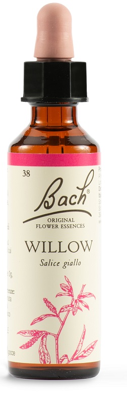 WILLOW BACH ORIG 20 ML - Angeli Pharm