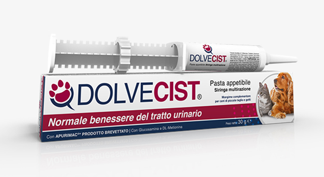 DOLVECIST PASTA SIRINGA 30 G - Angeli Pharm