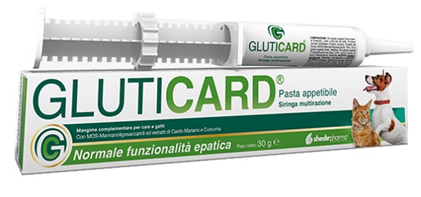 GLUTICARD PASTA 30 G - Angeli Pharm