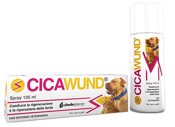 CICAWUND SPRAY 125 ML - Angeli Pharm