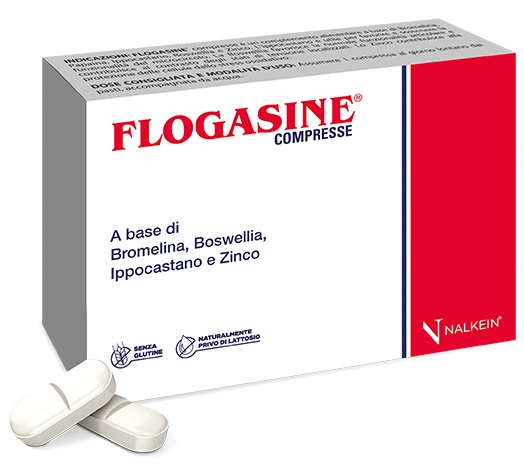 FLOGASINE 20 COMPRESSE - Angeli Pharm