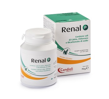 RENAL P MANGIME COMPLEMENTARE PER CANI E GATTI BARATTOLO 70 G - Angeli Pharm