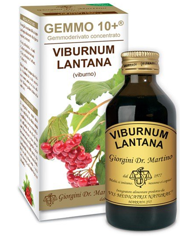 VIBURNO LIQUIDO ANALCOLICO GEMMO 10+ 100 ML - Angeli Pharm