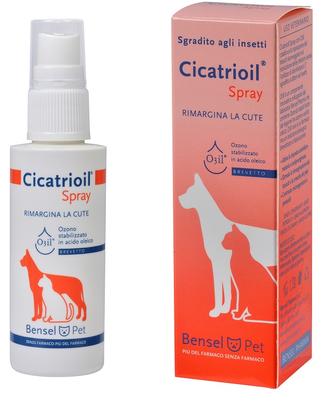 CICATRIOIL SPRAY 50 ML - Angeli Pharm