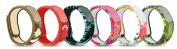 PARAKITO EFAS BRACCIALETTO GRAFFIC JUNGLE PLUS - Angeli Pharm