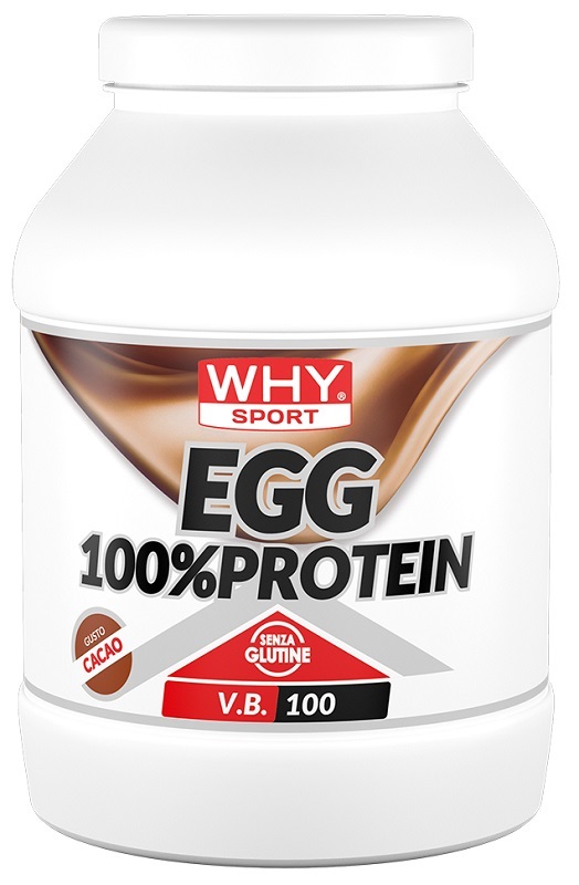 EGG 100% PROTEIN CACAO 750 G - Angeli Pharm
