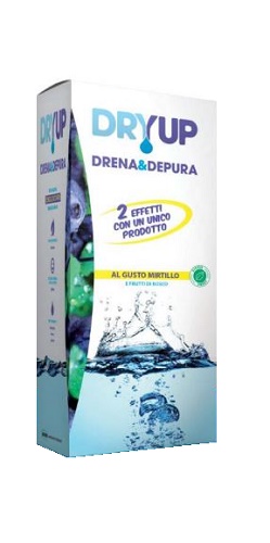 DRYUP MIRTILLO 300 ML - Angeli Pharm