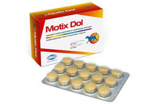 MOTIX DOL 60 COMPRESSE 48 G - Angeli Pharm