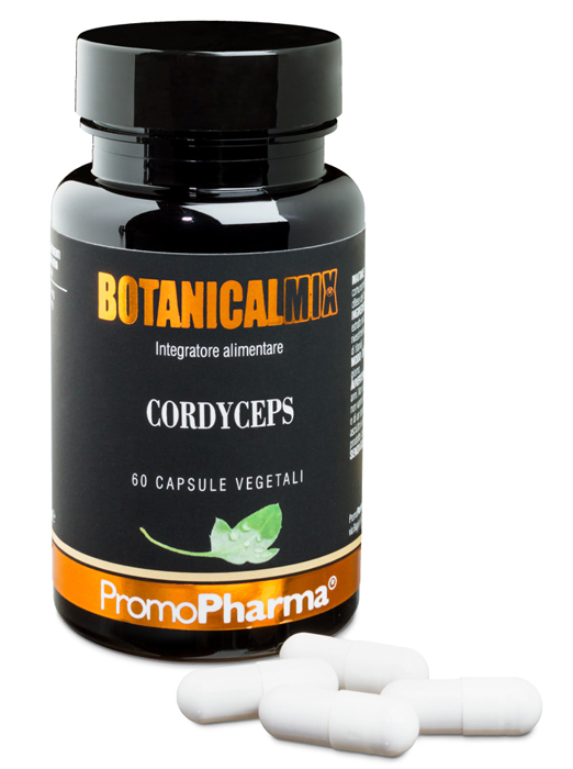 CORDYCEPS BOTANICAL MIX 60 CAPSULE - Angeli Pharm