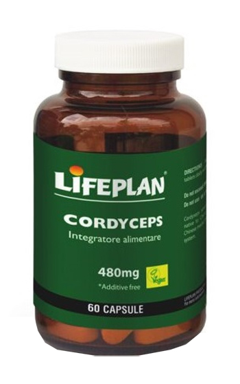 CORDYCEPS 60 CAPSULE - Angeli Pharm