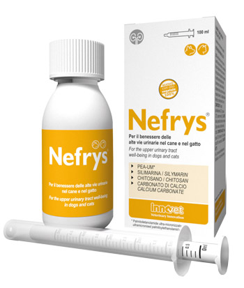 NEFRYS VEG 100 100 ML CON SIRINGA DOSATRICE ALIMENTO COMPLEMENTARE PER CANI E GATTI - Angeli Pharm
