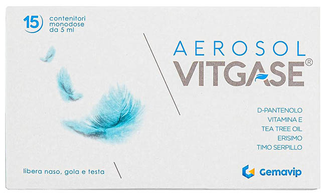 VITGASE AEROSOL 15 FLACONCINI 5 ML - Angeli Pharm