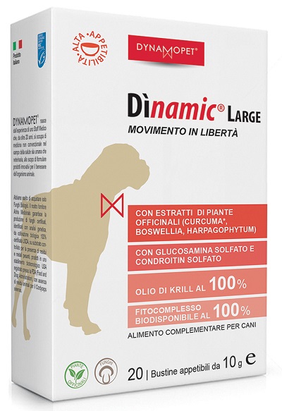 DINAMIC LARGE 20 BUSTINE 10 G - Angeli Pharm