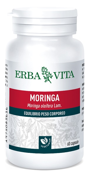 MORINGA 60 CAPSULE - Angeli Pharm