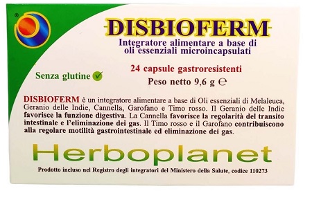 DISBIOFERM 24 CAPSULE - Angeli Pharm