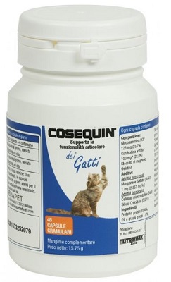 COSEQUIN GATTI 45 CAPSULE - Angeli Pharm