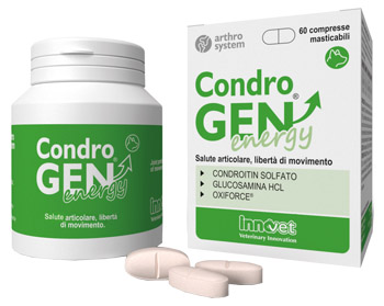 CONDROGEN ENERGY 60 COMPRESSE MASTICABILI - Angeli Pharm