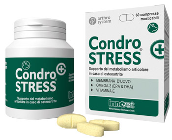 CONDROSTRESS + 60 COMPRESSE MASTICABILI - Angeli Pharm