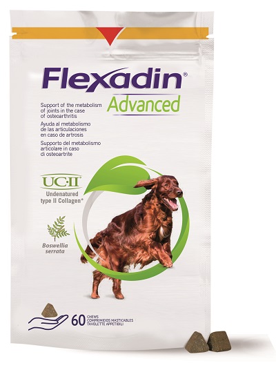 FLEXADIN ADVANCED CANE TUTTE LE TAGLIE 60 TAVOLETTE APPETIBILI - Angeli Pharm