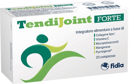 TENDIJOINT FORTE 20 COMPRESSE - Angeli Pharm
