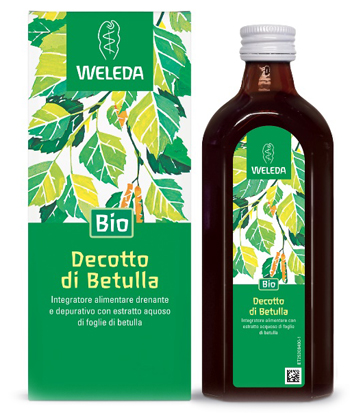 DECOTTO DI BETULLA 250 ML - Angeli Pharm