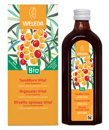 OLIVELLO SPINOSO VITAL SUCCO DI FRUTTA 250 ML - Angeli Pharm