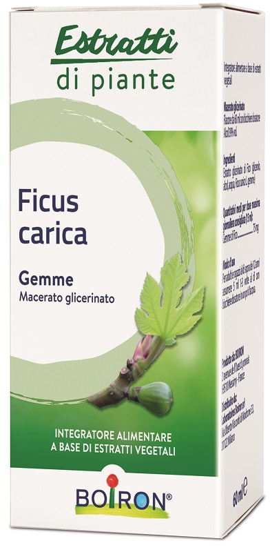 FICUS CARICA BOIRON MACERATO GLICERICO 60 ML - Angeli Pharm