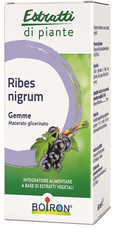 RIBES NIGRUM BOIRON MACERATO GLICERICO 60 ML - Angeli Pharm