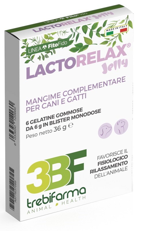 LACTORELAX JELLY 6 JELLY - Angeli Pharm