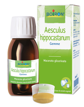AESCULUS HIPP BOIRON MACERATO GLICERICO 60 ML - Angeli Pharm