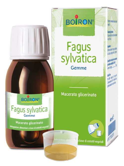 FAGUS SYLVATICA BOIRON MACERATO GLICERICO 60 ML - Angeli Pharm