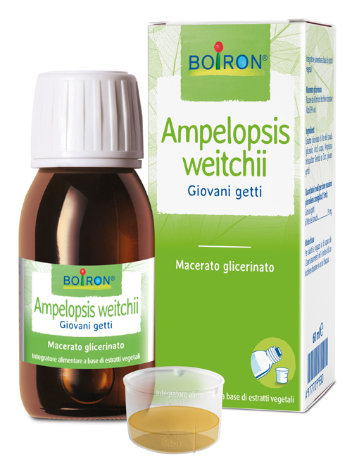 AMPELOPSIS WESTRATTO IDROALCOLICO BOIRON MACERATO GLICERICO 60 ML - Angeli Pharm