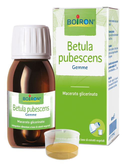 BETULA PUBESC BOIRON MACERATO GLICERICO 60 ML - Angeli Pharm
