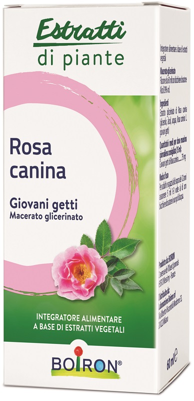 ROSA CANINA BOIRON MACERATO GLICERICO 60 ML - Angeli Pharm