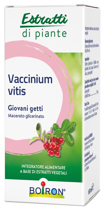 VACCINIUM VITIS MACERATO GLICERICO 60 ML - Angeli Pharm
