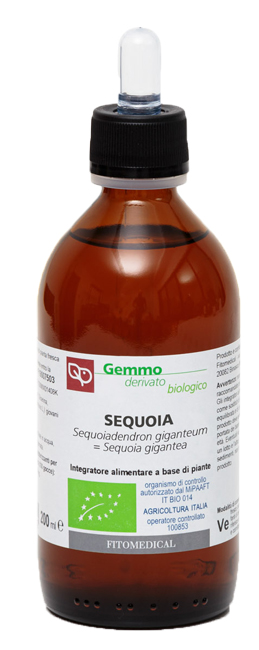 SEQUOIA MACERATO GLICERICO 200 ML BIO - Angeli Pharm
