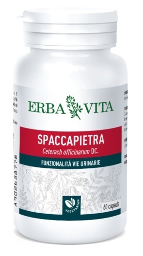 SPACCAPIETRA 60 CAPSULE - Angeli Pharm