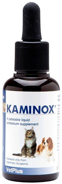 KAMINOX SCIROPPO 60 ML - Angeli Pharm