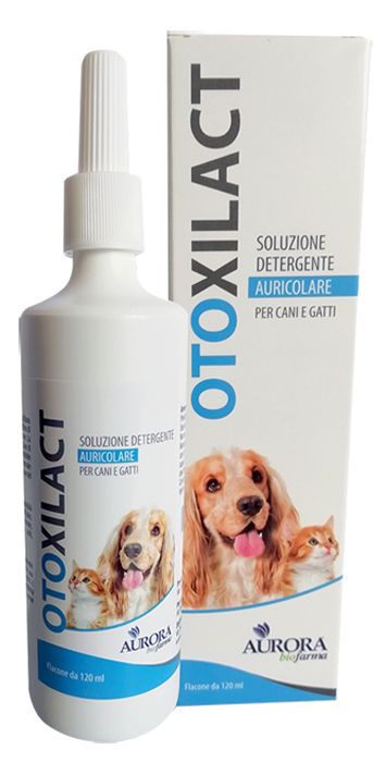 OTOXILACT DETERGENTE AURICOLARE - Angeli Pharm