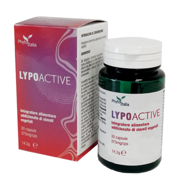 LYPOACTIVE 30 CAPSULE - Angeli Pharm