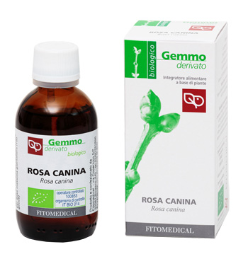 ROSA CANINA MACERATO GLICERICO 50 ML BIO - Angeli Pharm