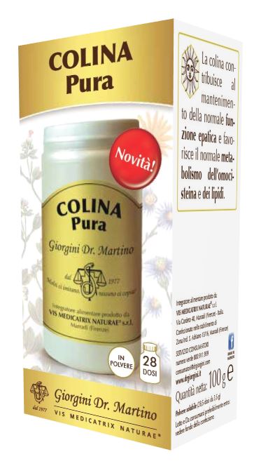 COLINA PURA POLVERE SOLUBILE 100 G - Angeli Pharm