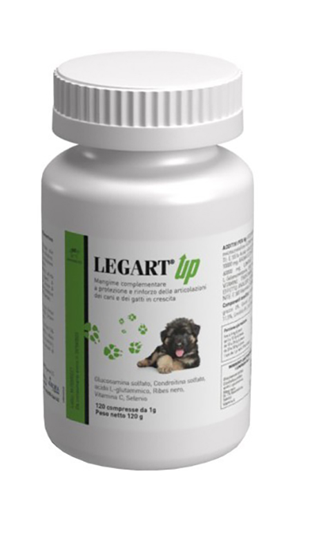 LEGART UP 120 COMPRESSE - Angeli Pharm