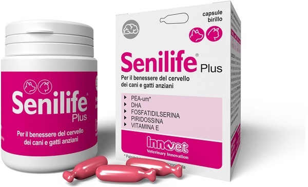 SENILIFE PLUS 30 CAPSULE - Angeli Pharm