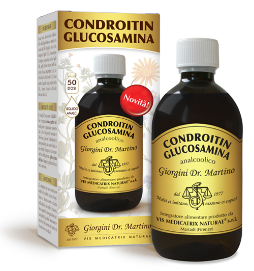 CONDROITIN GLUCOSAMINA ANALCOOLICO 500 ML - Angeli Pharm