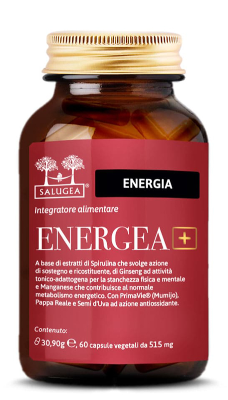 SALUGEA ENERGEA+ 60 CAPSULE - Angeli Pharm
