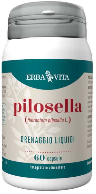PILOSELLA 60 CAPSULE - Angeli Pharm
