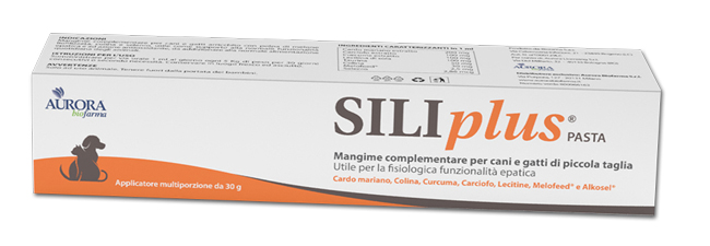 SILIPLUS PASTA 30 G - Angeli Pharm