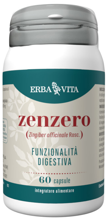 ZENZERO 60 CAPSULE - Angeli Pharm