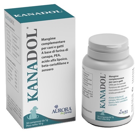 KANADOL 50 COMPRESSE - Angeli Pharm